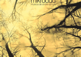 André Santos, Mikroduo