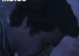 Bernardo Sassetti, Indigo