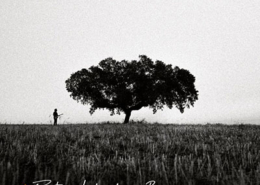 Budda Guedes, Desde a raiz