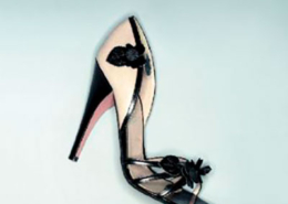 Carlos Bica, Matéria prima