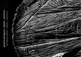 Tateabilidade, de Hugo Vasco Reis, 2023