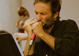 Gonçalo Sousa, Harmónica