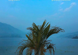 Paulo Vicente, Nepaulo