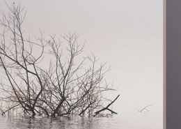 Tiago Simães, Songs, Vol. 2