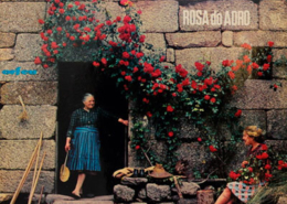 Conjunto Típico Rosa do Adro