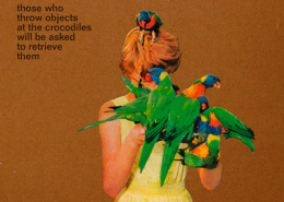 Bruno Pernadas - Those Who Throw Objects At The Crocodiles